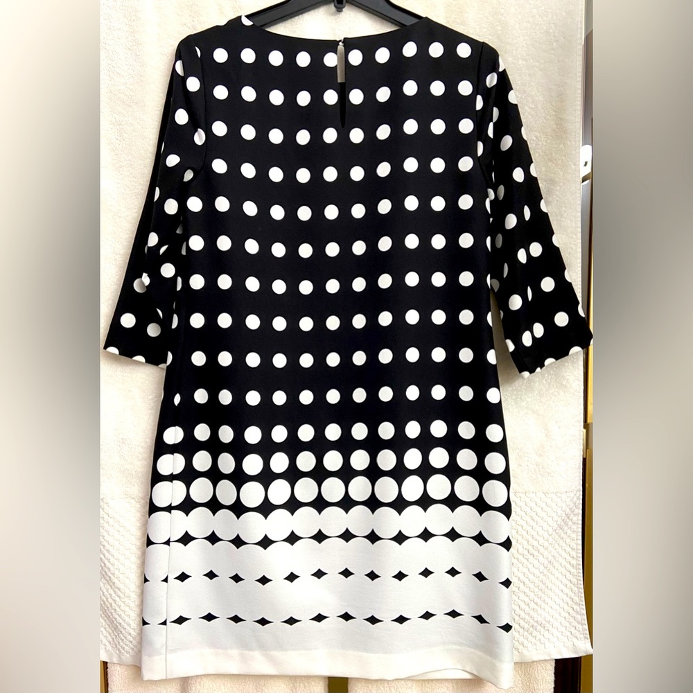 Super Cute Banana Republic Black & White Dress